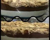 Mousse trufado de limão