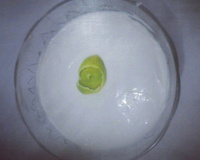 Mousse de leite em pó