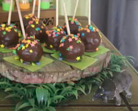 Cake pop (bolo de palito)