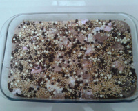 Torta de sorvete da Babi