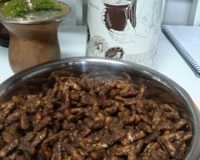 Biscoitinhos de chocolate