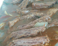 Fraldinha na cerveja