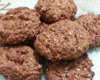 Cookies diet de aveia e chocolate