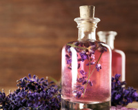 Esse é o óleo natural que combate uma das pragas mais difíceis de exterminar em casa