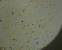 Molho branco de bacon para macarrão