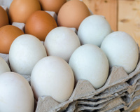 Ovo marrom e ovo branco: quais são as diferenças