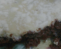 Bolo de travessa de brigadeiro e leite ninho