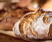 Máquina de pão: qual a melhor panificadora para fazer pão caseiro?