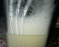 Leite fermentado kefir (natural)