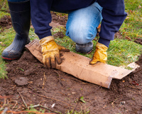 Poucas pessoas sabem, mas usar papelão no jardim é um verdadeiro tesouro para a plantação