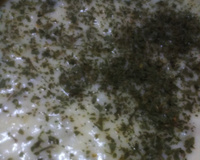 Purê de batata doce com salsinha