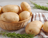 Batata no combate ao câncer: cientistas apontam efeitos surpreendentes