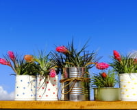 Como reutilizar latas de metal na decoração de casa