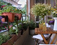 Decoração da casa: o que ter para estar sempre renovando