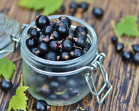 Cassis: o que é e seus benefícios para a saúde