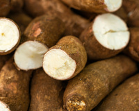 Nem frita, nem na manteiga: o melhor jeito de comer mandioca e aproveitar os benefícios