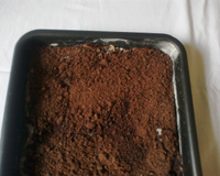 Bolo prestígio de farofa de açúcar