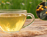 Quais são os benefícios do chá de folhas de nespereira? Saiba como preparar a infusão e adicione ao seu dia a dia