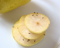 Não acreditei até testar: esse item comum em casa realmente afasta as mosquinhas de fruta