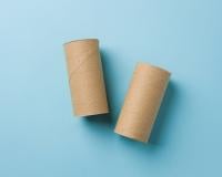 Se você tem rolos de papel higiênico vazios, não os jogue fora, você tem um tesouro em casa