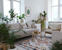 Planta é felicidade e purifica o ambiente, certo? Só se não forem essas daqui que sugam energia e podem até te deixar triste ou melancólico