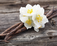 Baunilha: as diversas formas desse ingrediente especial