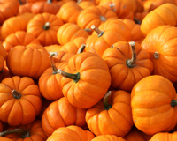 6 benefícios da abóbora para a saúde