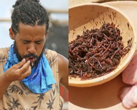 Seu estômago vai embrulhar! 'No Limite' testa paladar e psicológico dos participantes