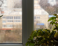 Como preparar a sua casa e o seu jardim para o ciclone e frente fria