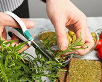 Consumido em receitas ou no chá: alecrim é tiro e queda para desconforto respiratório do inverno