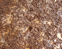 Bolo simples de chocolate