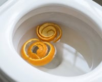 Com quantos anos você descobriu que deve jogar cascas de laranja no vaso sanitário uma vez por semana?
