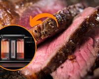 Não é mágica, é IA: grelhador promete assar carnes e legumes em segundos e facilitar a vida de quem não sabe cozinhar