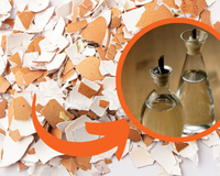 Entorne vinagre nas cascas de ovos e jogue-as no jardim: uma solução rápida para um problema bem conhecido