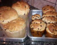 Panetone de Frutas Cristalizadas ou Panetone de Chocolate