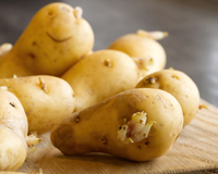 Nunca jogue fora batatas germinadas: aqui está o que você deve fazer