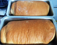 Pão caseiro sem ovo