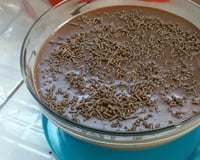 Flan de chocolate sem gelatina e ovos