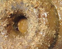 Bolo junino de paçoca