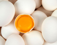 Será que vamos comer ovos assim no futuro? É melhor nos prepararmos para o que pode nos aguardar