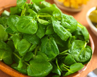 Segundo pesquisadores, só 100g deste vegetal garantem todas as vitaminas que o seu corpo precisa; é o alimento mais saudável do mundo!