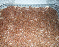 Torta de bolacha de chocolate