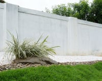 A parede branca e sem graça no quintal está fora de moda: a nova tendência é mais elegante e prática para o seu jardim