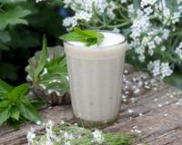 Vitamina de camomila é a bebida doce por natureza e refrescante que vai mudar o seu dia: deliciosa e cheia de benefícios