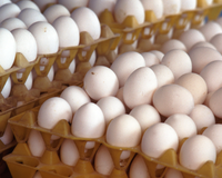 Sempre compre ovos menores: uma vendedora me contou um segredo que ninguém sabe e que salvou minha saúde e meu dinheiro