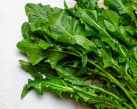 O vegetal esquecido que melhora a digestão, alivia as inflamações e é ótimo para deixar sua salada mais nutritiva