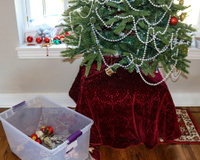 Desmontar a árvore de Natal no dia errado pode bloquear energias: veja a data certa do Feng Shui para atrair sucesso e abundância em 2026