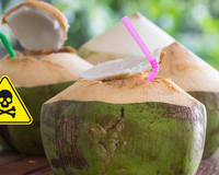 Se você guardar o coco assim, sua vida pode estar em risco: homem morre após cometer este erro e consumir a fruta