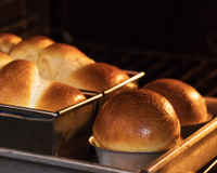 Brioche: confira a receita fácil de fazer