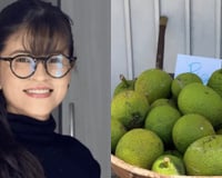 Influencer lança "Tinder das frutas" para evitar desperdício: aplicativo une vizinhos para vender, trocar e doar alimentos e já tem mais de 20 mil usuários